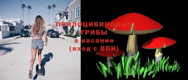 альфа пвп Заводоуковск