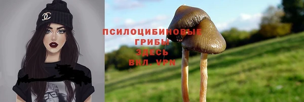 альфа пвп Заводоуковск