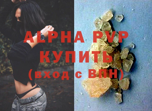 индика Зеленокумск