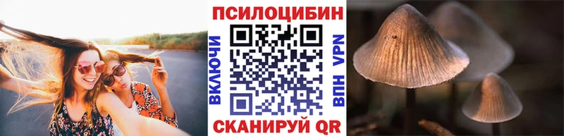 Купить Гудермес Галлюциногенные грибы GOLDEN TEACHER